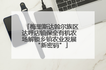 梅里斯达斡尔族区达呼店镇保全有机农场解锁乡镇农业发展“新密码”