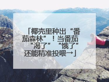 椰壳里种出“番茄森林”！当番茄“渴了”“饿了”还能精准投喂→