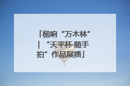 槌响“万木林”｜“天平杯·随手拍”作品展播