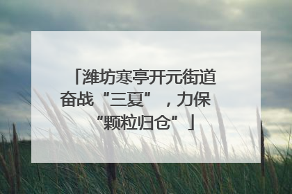 潍坊寒亭开元街道奋战“三夏”，力保“颗粒归仓”