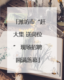 潍坊市“赶大集 送岗位” 现场招聘圆满落幕