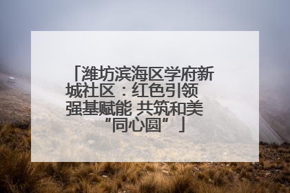 潍坊滨海区学府新城社区：红色引领 强基赋能 共筑和美“同心圆”