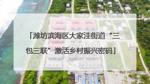 潍坊滨海区大家洼街道“三包三联”激活乡村振兴密码