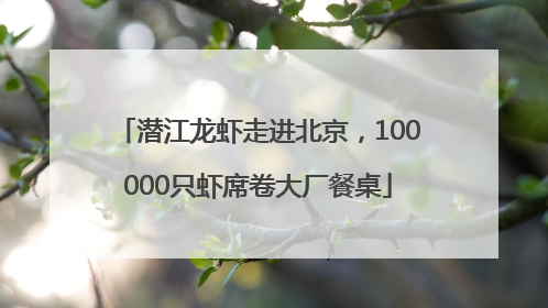 潜江龙虾走进北京，100000只虾席卷大厂餐桌