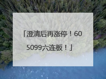 澄清后再涨停！605099六连板！