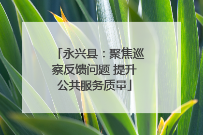 永兴县：聚焦巡察反馈问题 提升公共服务质量