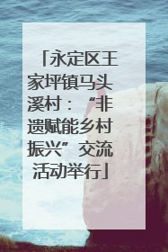 永定区王家坪镇马头溪村：“非遗赋能乡村振兴”交流活动举行