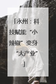 永州：科技赋能“小辣椒”变身“大产业”