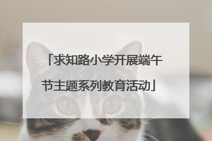 求知路小学开展端午节主题系列教育活动
