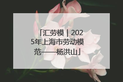 汇劳模｜2025年上海市劳动模范——杨洪山