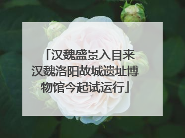 汉魏盛景入目来 汉魏洛阳故城遗址博物馆今起试运行