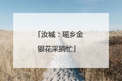 汝城：瑶乡金银花采摘忙
