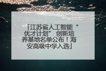 江苏省人工智能“优才计划” 创新培养基地名单公布！海安高级中学入选