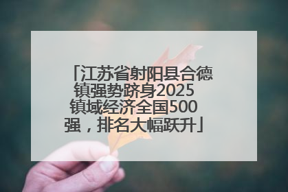 江苏省射阳县合德镇强势跻身2025镇域经济全国500强，排名大幅跃升