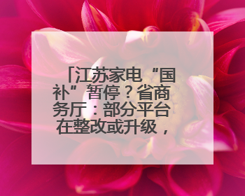 江苏家电“国补”暂停？省商务厅：部分平台在整改或升级，调整后可正常使用