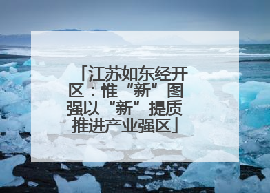 江苏如东经开区：惟“新”图强以“新”提质推进产业强区