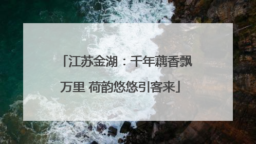 江苏金湖：千年藕香飘万里 荷韵悠悠引客来