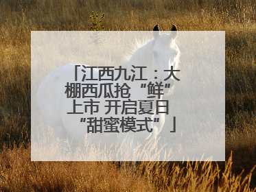 江西九江：大棚西瓜抢“鲜”上市 开启夏日“甜蜜模式”