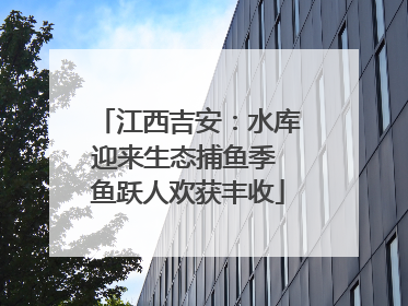 江西吉安：水库迎来生态捕鱼季 鱼跃人欢获丰收