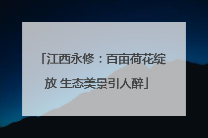 江西永修：百亩荷花绽放 生态美景引人醉