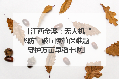 江西金溪：无人机“飞防”破丘陵植保难题 守护万亩早稻丰收