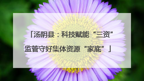 汤阴县：科技赋能“三资”监管守好集体资源“家底”