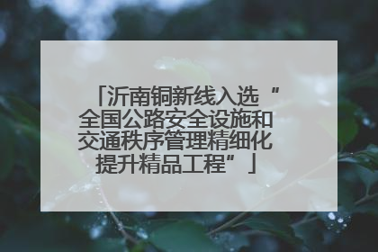 沂南铜新线入选“全国公路安全设施和交通秩序管理精细化提升精品工程”