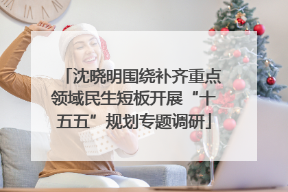 沈晓明围绕补齐重点领域民生短板开展“十五五”规划专题调研