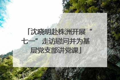 沈晓明赴株洲开展“七一”走访慰问并为基层党支部讲党课