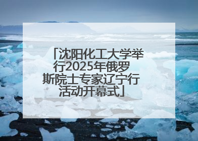 沈阳化工大学举行2025年俄罗斯院士专家辽宁行活动开幕式