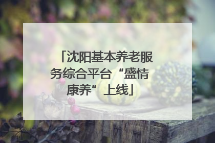沈阳基本养老服务综合平台“盛情康养”上线