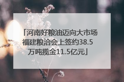 河南好粮油迈向大市场 福建粮洽会上签约38.5万吨揽金11.5亿元