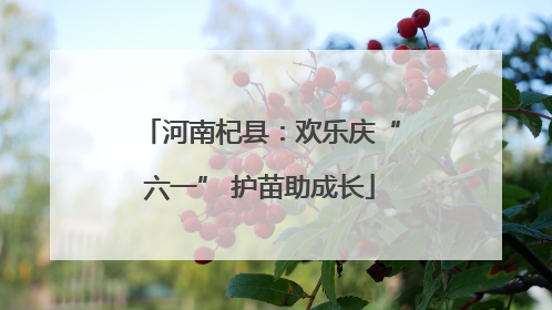 河南杞县：欢乐庆“六一” 护苗助成长