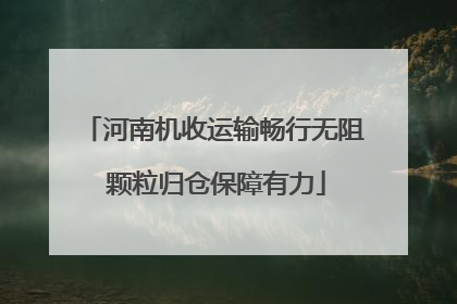 河南机收运输畅行无阻 颗粒归仓保障有力