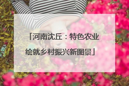河南沈丘：特色农业绘就乡村振兴新图景