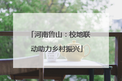 河南鲁山：校地联动助力乡村振兴