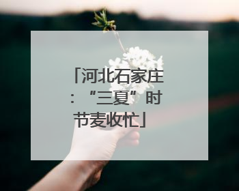 河北石家庄：“三夏”时节麦收忙