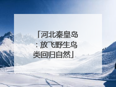 河北秦皇岛：放飞野生鸟类回归自然