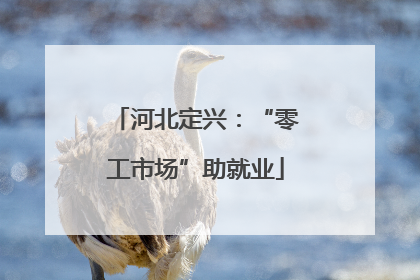 河北定兴：“零工市场”助就业