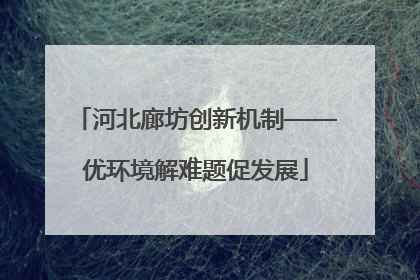 河北廊坊创新机制——优环境解难题促发展