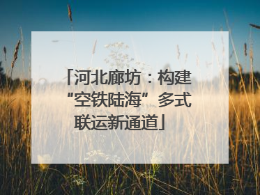 河北廊坊：构建“空铁陆海”多式联运新通道