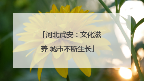 河北武安：文化滋养 城市不断生长
