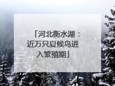 河北衡水湖：近万只夏候鸟进入繁殖期