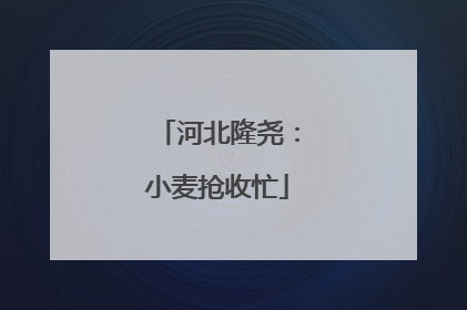 河北隆尧：小麦抢收忙