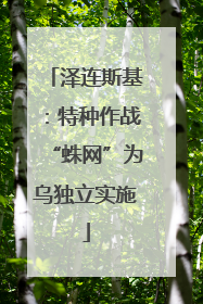泽连斯基：特种作战“蛛网”为乌独立实施