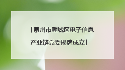 泉州市鲤城区电子信息产业链党委揭牌成立