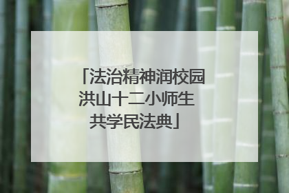 法治精神润校园 洪山十二小师生共学民法典