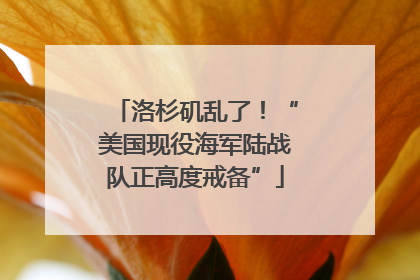 洛杉矶乱了！“美国现役海军陆战队正高度戒备”