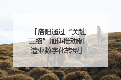 洛阳通过“关键三招”加速推动制造业数字化转型