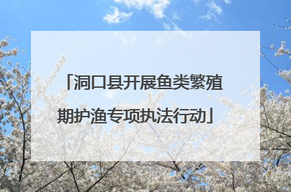洞口县开展鱼类繁殖期护渔专项执法行动